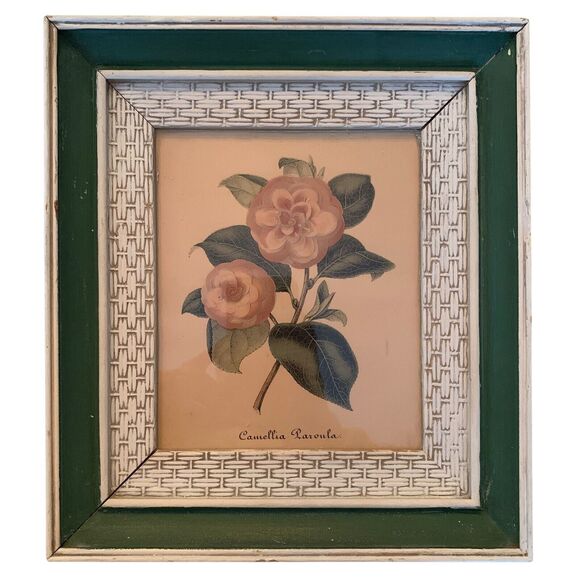 2 Vintage 1950s Framed Camellia Flower Lithographs 10.3" x 9.3" Pink+White+Green - Picture 3 of 7